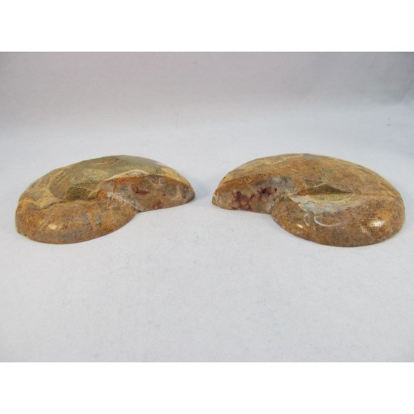 Cut Split Pair Polished Ammonite Fossil Crystal with Stands Small 3" x 2.5" - Picture 12 of 15